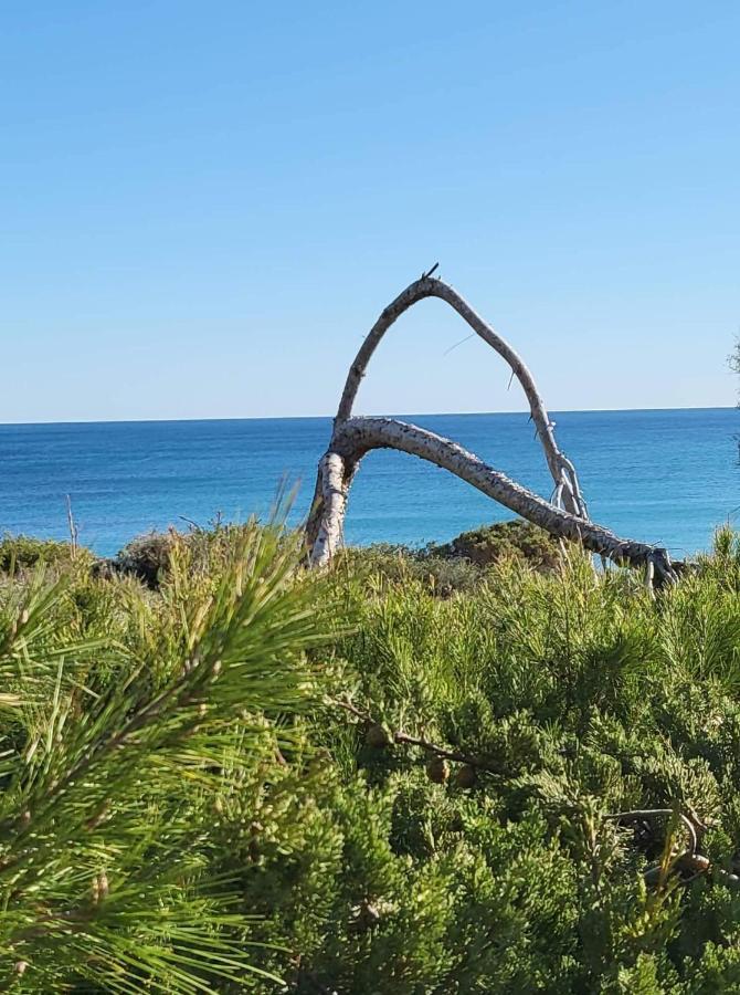 Apartamento Carlos , Lomas De Cabo Roig Area,2 Bedroom,2 Terraces,Swimming Pool Dehesa de Campoamor  Exterior foto